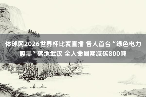 体球网2026世界杯比赛直播 各人首台“绿色电力腹黑”落地武汉 全人命周期减碳800吨