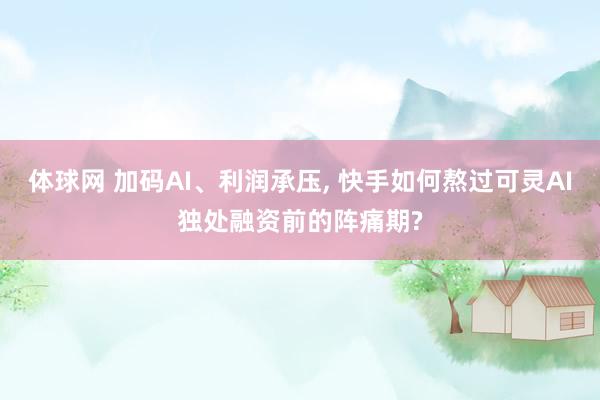 体球网 加码AI、利润承压, 快手如何熬过可灵AI独处融资前的阵痛期?