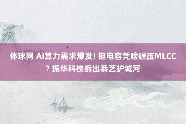 体球网 AI算力需求爆发! 钽电容凭啥碾压MLCC? 振华科技拆出恭艺护城河
