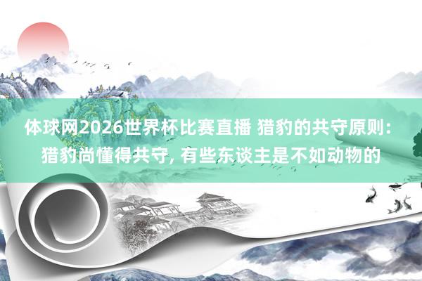 体球网2026世界杯比赛直播 猎豹的共守原则: 猎豹尚懂得共守, 有些东谈主是不如动物的