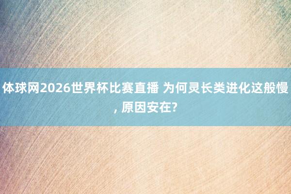 体球网2026世界杯比赛直播 为何灵长类进化这般慢, 原因安在?