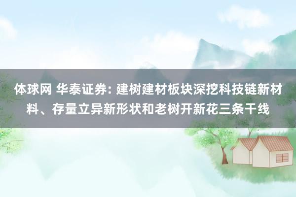 体球网 华泰证券: 建树建材板块深挖科技链新材料、存量立异新形状和老树开新花三条干线