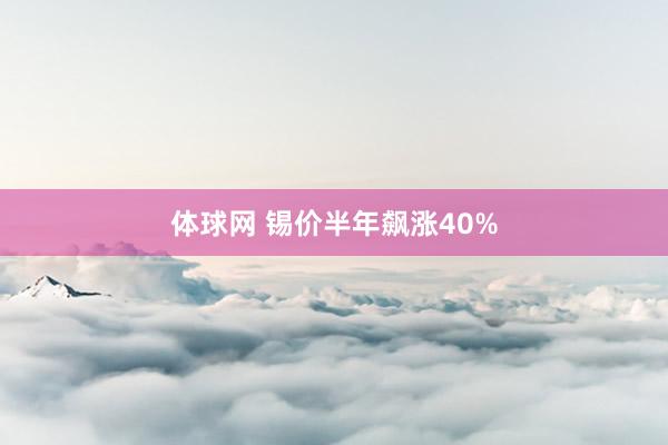 体球网 锡价半年飙涨40%