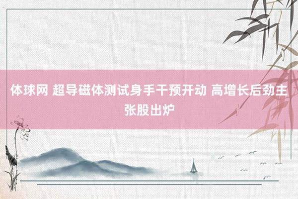 体球网 超导磁体测试身手干预开动 高增长后劲主张股出炉