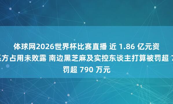 体球网2026世界杯比赛直播 近 1.86 亿元资金遭干系方占用未败露 南边黑芝麻及实控东谈主打算被罚超 790 万元
