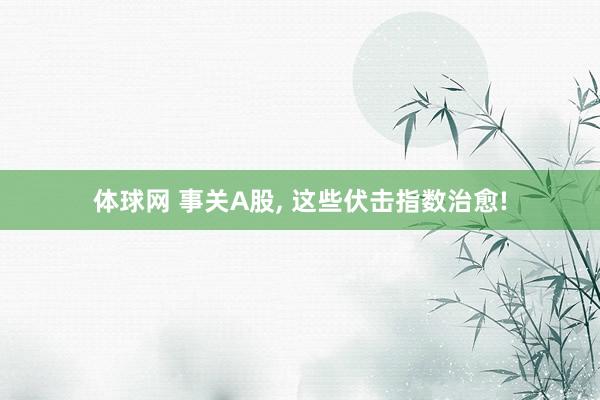 体球网 事关A股, 这些伏击指数治愈!