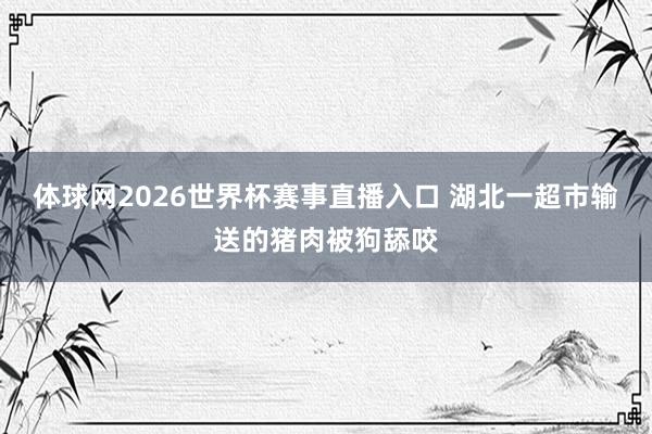 体球网2026世界杯赛事直播入口 湖北一超市输送的猪肉被狗舔咬