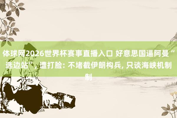 体球网2026世界杯赛事直播入口 好意思国逼阿曼“选边站”, 遭打脸: 不堵截伊朗构兵, 只谈海峡机制