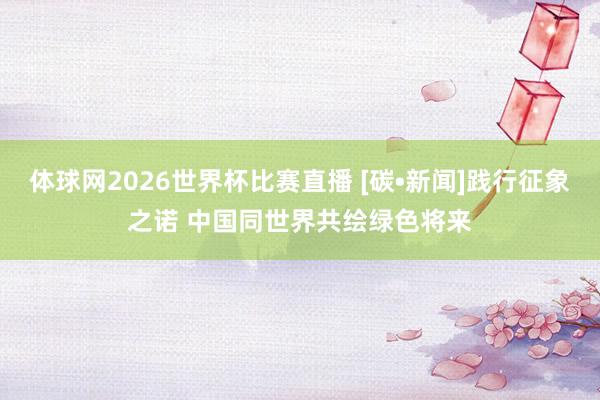体球网2026世界杯比赛直播 [碳•新闻]践行征象之诺 中国同世界共绘绿色将来