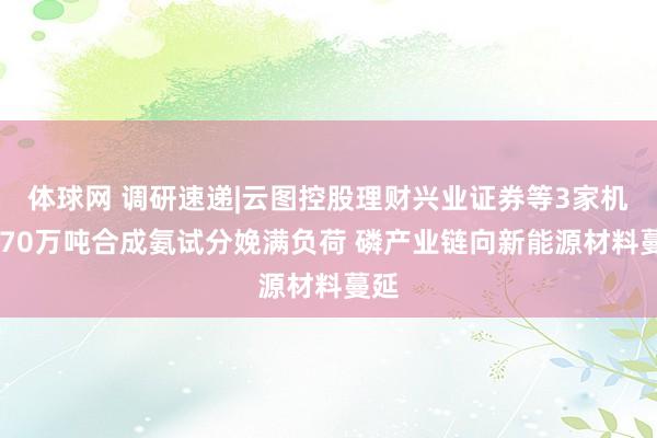 体球网 调研速递|云图控股理财兴业证券等3家机构 70万吨合成氨试分娩满负荷 磷产业链向新能源材料蔓延