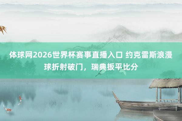 体球网2026世界杯赛事直播入口 约克雷斯浪漫球折射破门，瑞典扳平比分