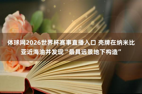 体球网2026世界杯赛事直播入口 壳牌在纳米比亚近海油井发现“最具远景地下构造”