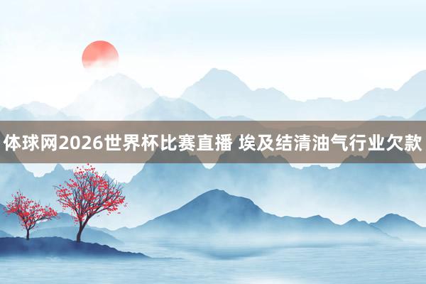 体球网2026世界杯比赛直播 埃及结清油气行业欠款