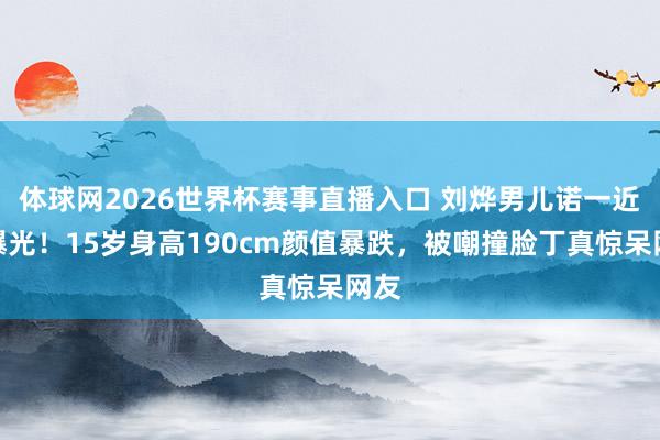 体球网2026世界杯赛事直播入口 刘烨男儿诺一近照曝光！15岁身高190cm颜值暴跌，被嘲撞脸丁真惊呆网友
