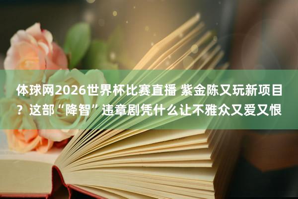 体球网2026世界杯比赛直播 紫金陈又玩新项目？这部“降智”违章剧凭什么让不雅众又爱又恨