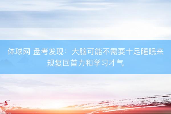 体球网 盘考发现：大脑可能不需要十足睡眠来规复回首力和学习才气