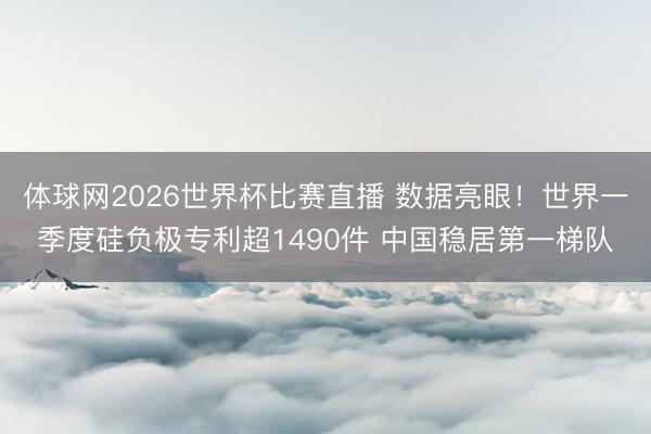 体球网2026世界杯比赛直播 数据亮眼！世界一季度硅负极专利超1490件 中国稳居第一梯队