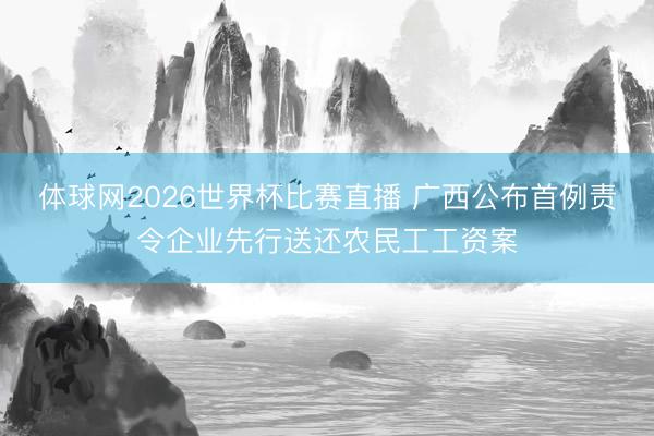 体球网2026世界杯比赛直播 广西公布首例责令企业先行送还农民工工资案