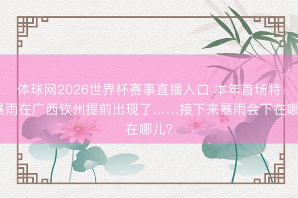 体球网2026世界杯赛事直播入口 本年首场特大暴雨在广西钦州提前出现了……接下来暴雨会下在哪儿？