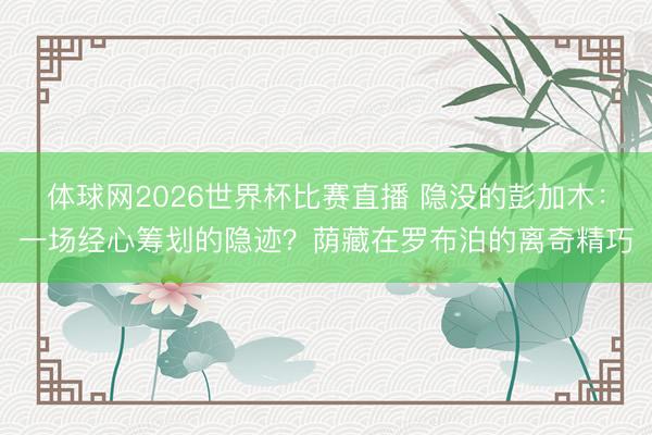 体球网2026世界杯比赛直播 隐没的彭加木:一场经心筹划的隐迹?荫藏在罗布泊的离奇精巧